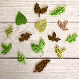 Leaves - Autumn Leaf Duo